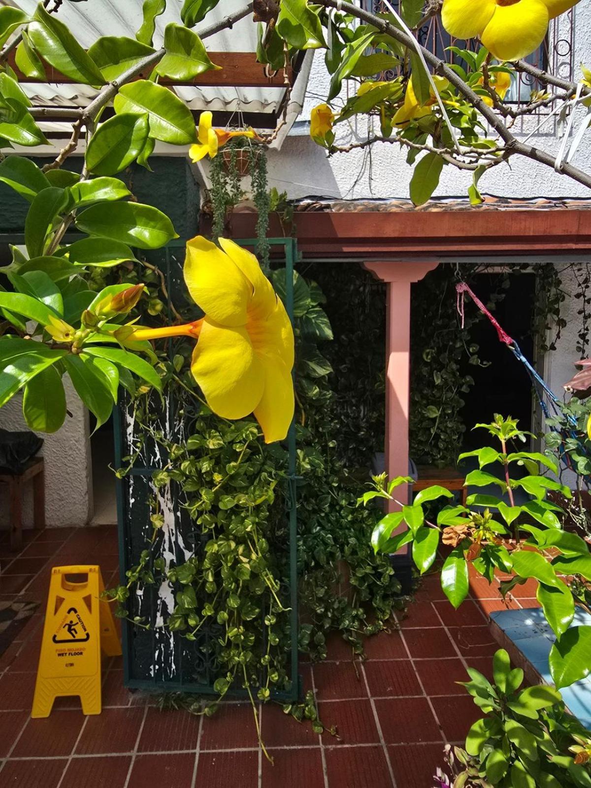 Tatami Hostel Bucaramanga Exterior foto